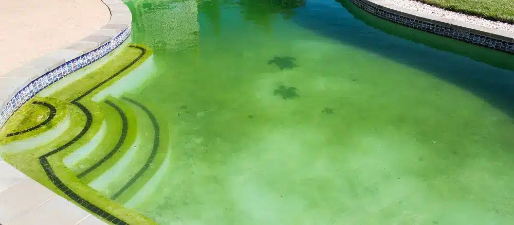 Las causas más frecuentes de una piscina verde
